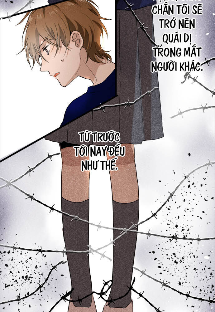 Hoa Cánh Sao Chapter 69 - Trang 2