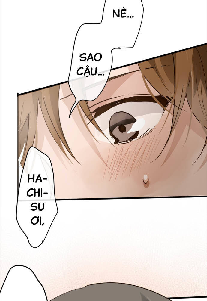 Hoa Cánh Sao Chapter 71 - Trang 2