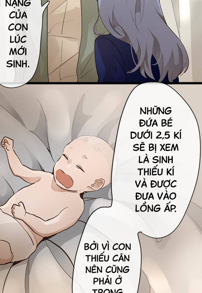 Hoa Cánh Sao Chapter 73 - Trang 2