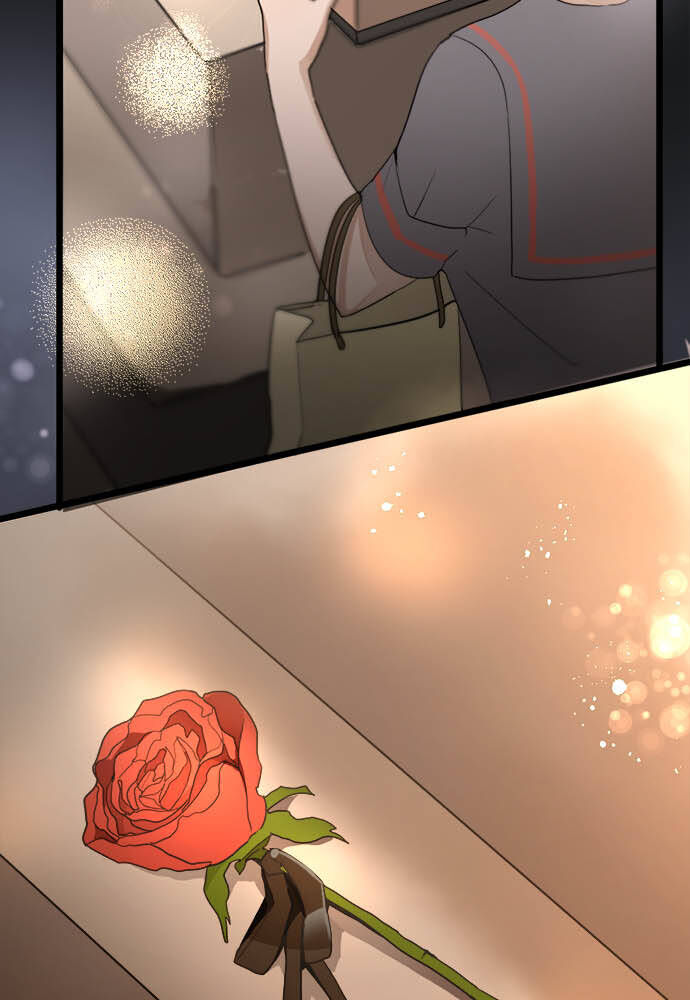 Hoa Cánh Sao Chapter 79 - Trang 2