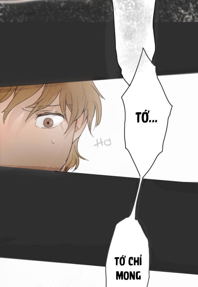Hoa Cánh Sao Chapter 8 - Trang 2