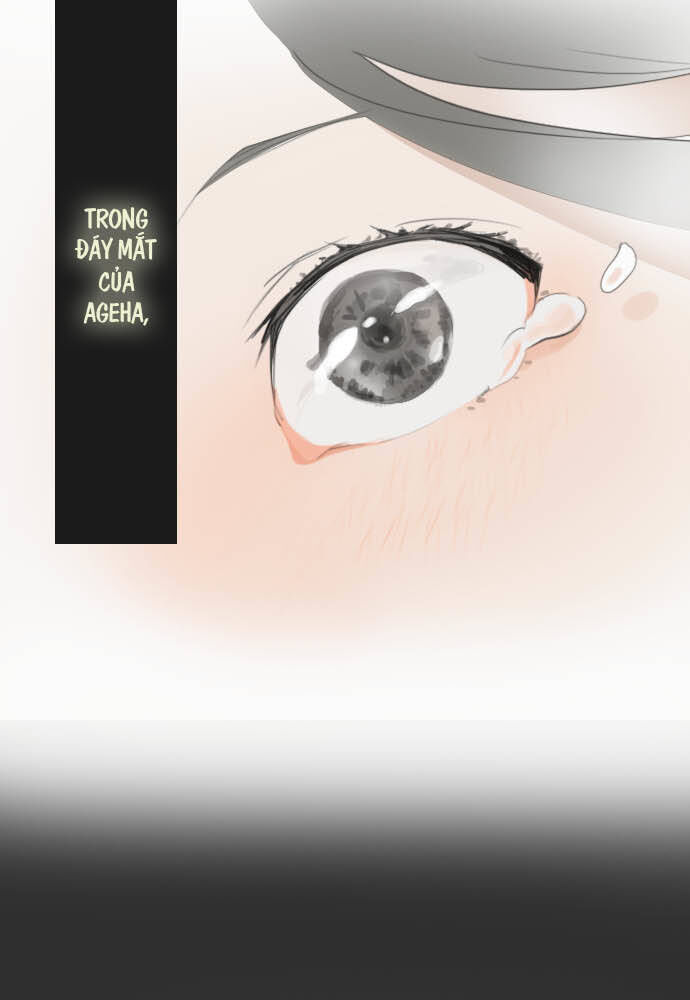 Hoa Cánh Sao Chapter 8 - Trang 2
