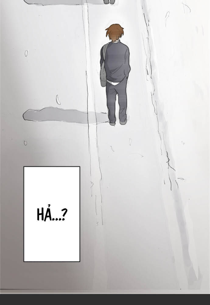 Hoa Cánh Sao Chapter 8 - Trang 2