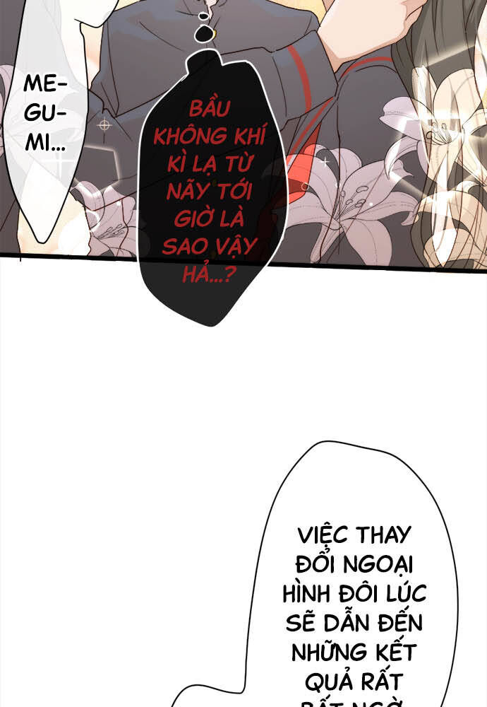 Hoa Cánh Sao Chapter 80 - Trang 2