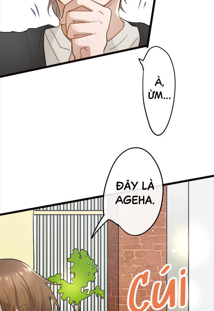 Hoa Cánh Sao Chapter 82 - Trang 2