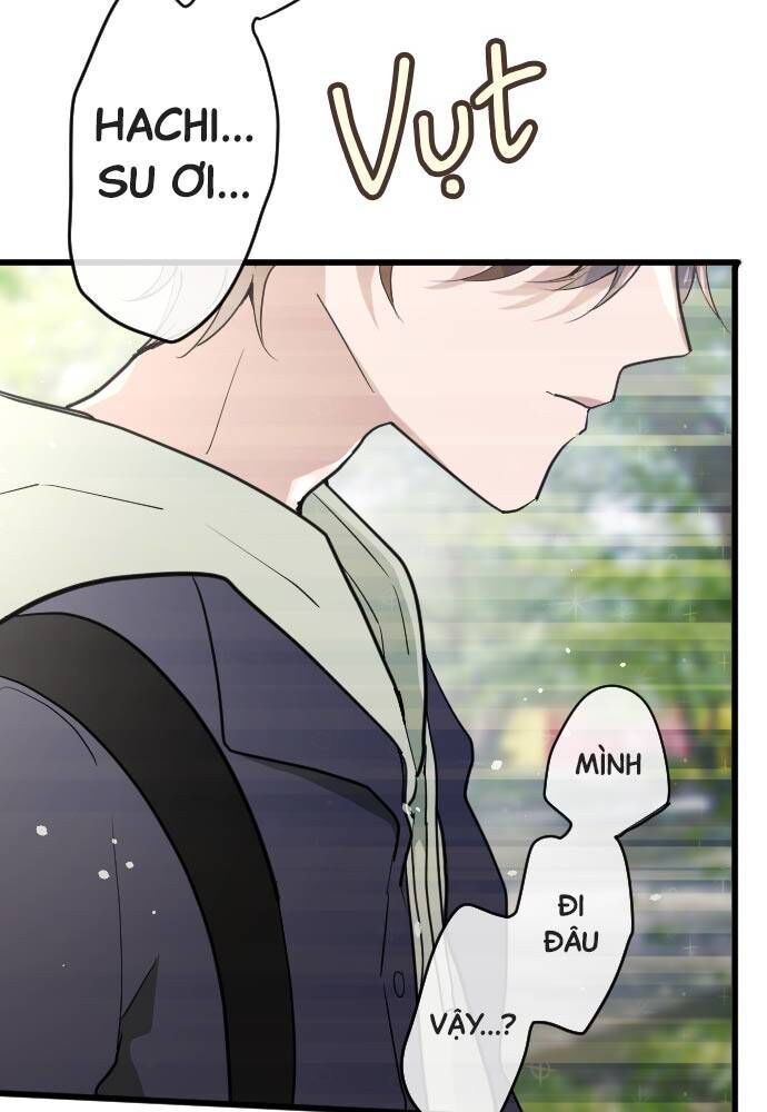 Hoa Cánh Sao Chapter 94 - Trang 2