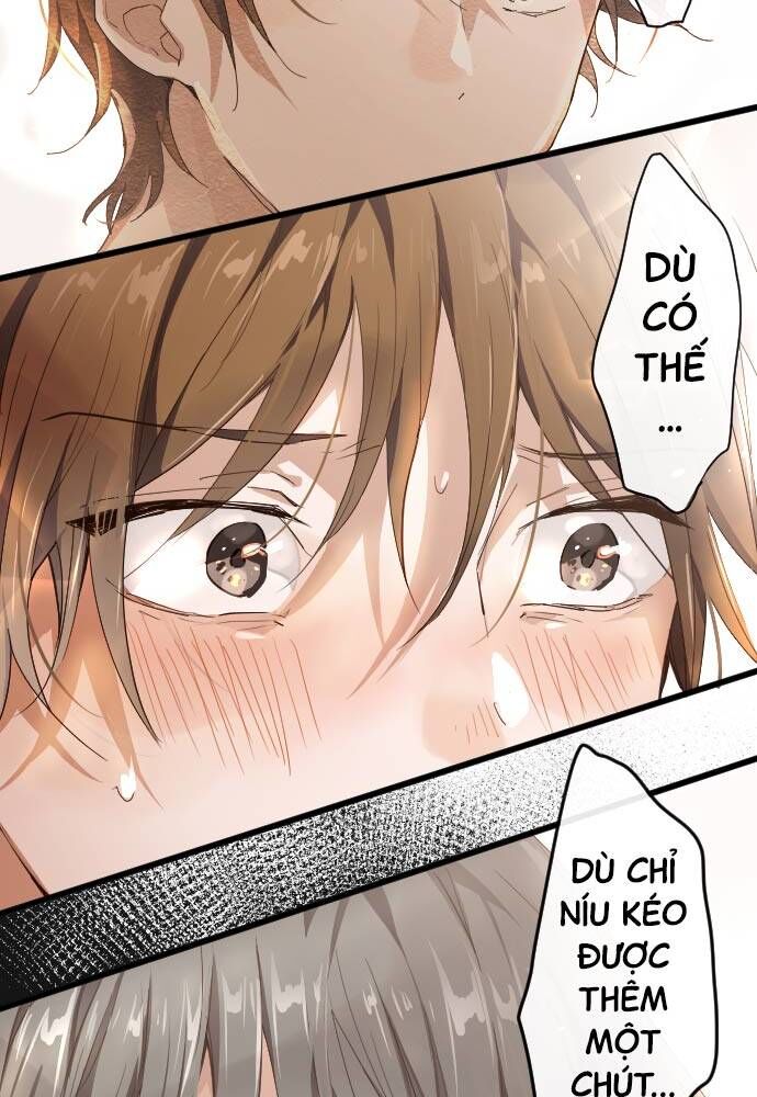 Hoa Cánh Sao Chapter 97 - Trang 2