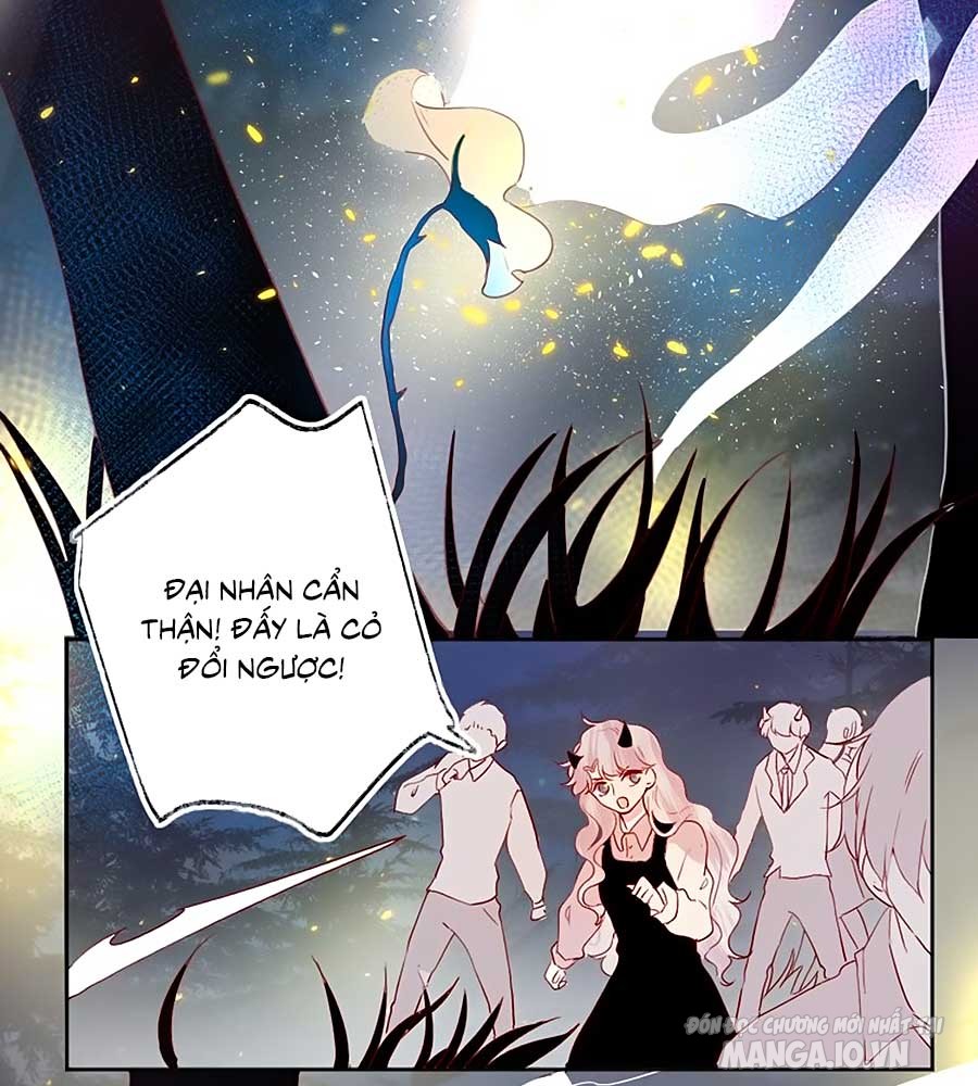 Hoa Dữ Ẩn Nặc Chi Ô Chapter 82.5 - Trang 2