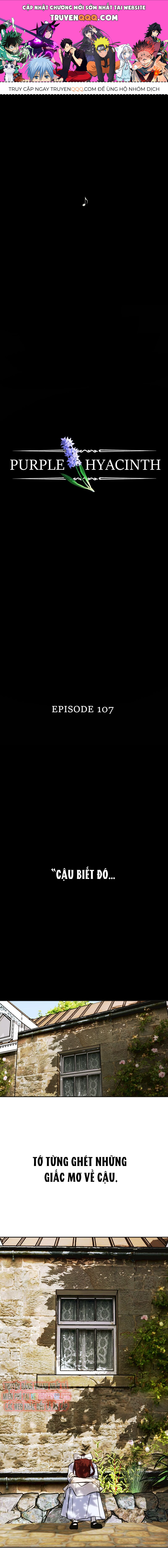 Hoa Lục Bình Tím Chapter 107 - Trang 2