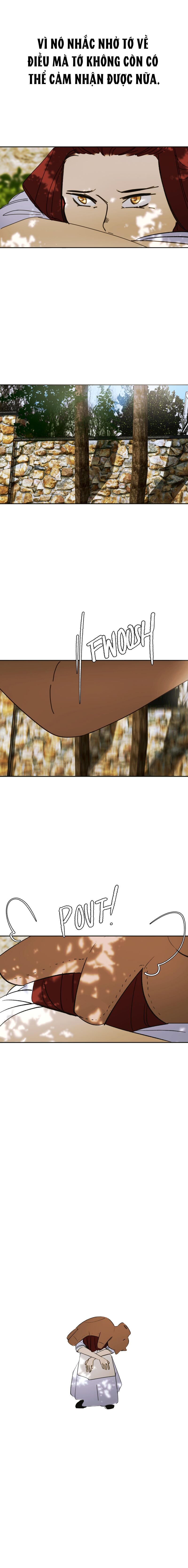 Hoa Lục Bình Tím Chapter 107 - Trang 2