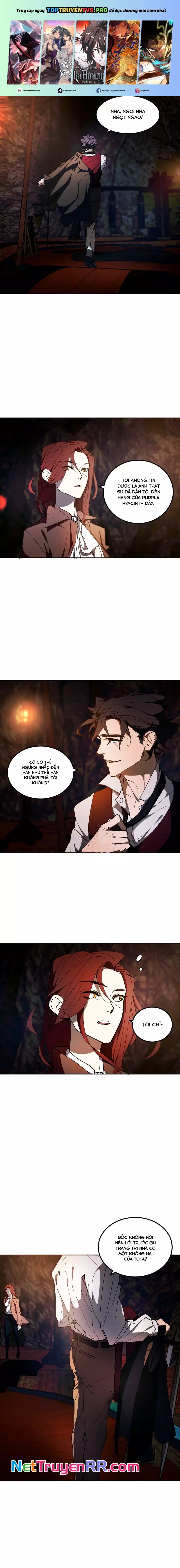 Hoa Lục Bình Tím Chapter 11.1 - Trang 2