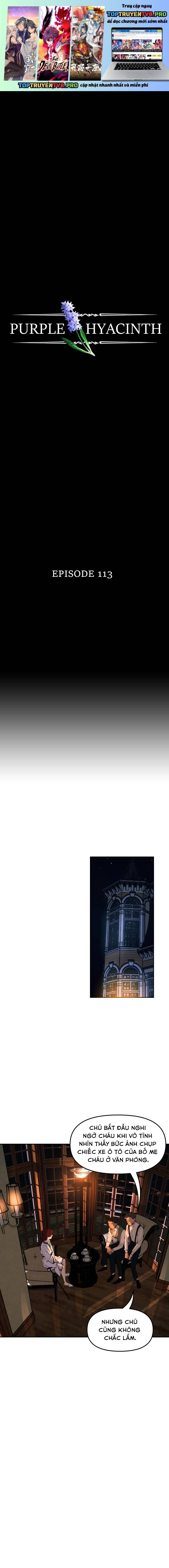 Hoa Lục Bình Tím Chapter 113 - Trang 2