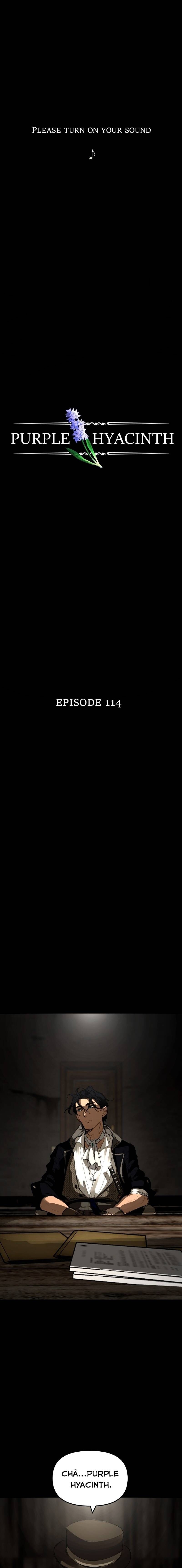 Hoa Lục Bình Tím Chapter 114 - Trang 2