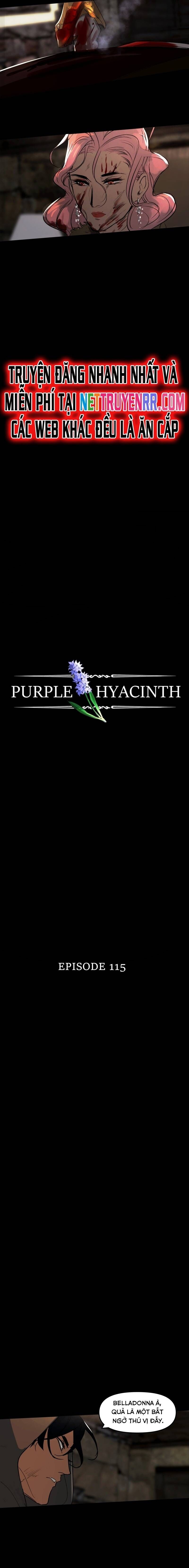 Hoa Lục Bình Tím Chapter 115 - Trang 2
