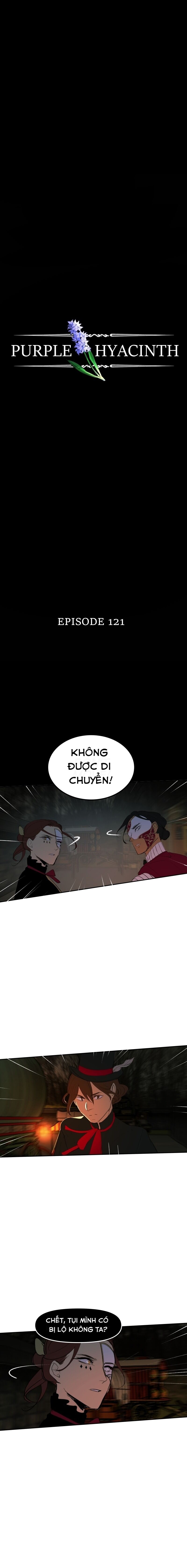 Hoa Lục Bình Tím Chapter 121 - Trang 2