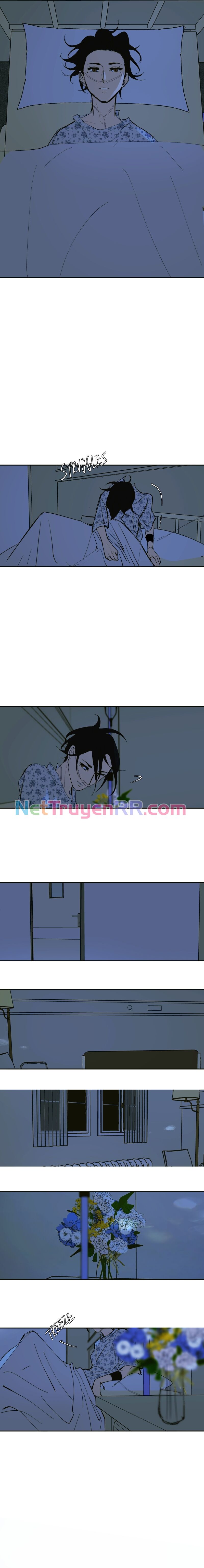 Hoa Lục Bình Tím Chapter 139.1 - Trang 2