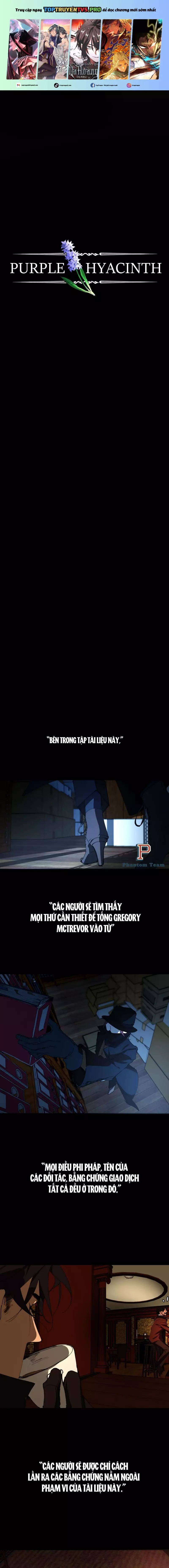 Hoa Lục Bình Tím Chapter 14 - Trang 2