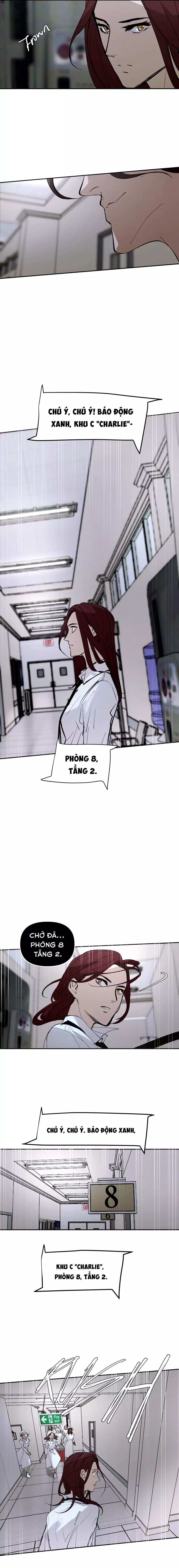 Hoa Lục Bình Tím Chapter 145.4 - Trang 2