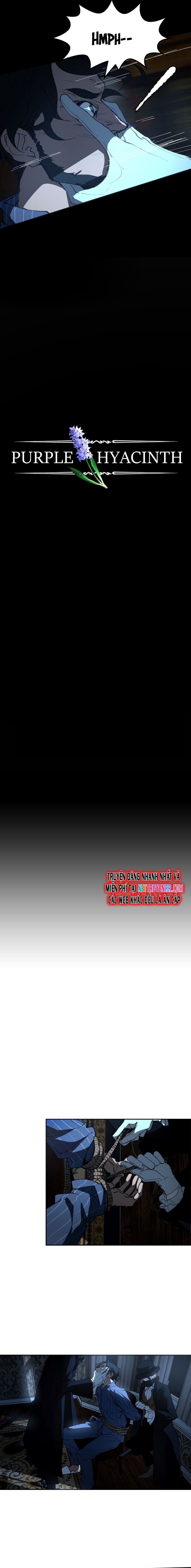 Hoa Lục Bình Tím Chapter 15 - Trang 2