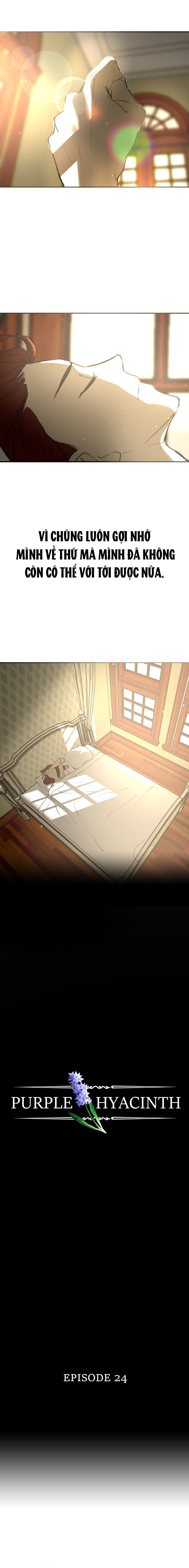 Hoa Lục Bình Tím Chapter 24.1 - Trang 2