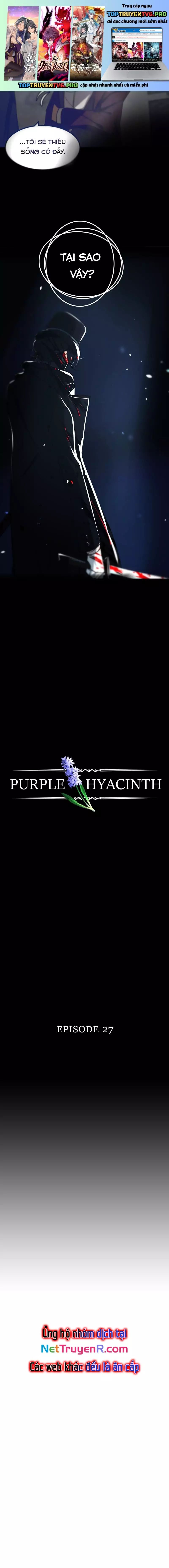 Hoa Lục Bình Tím Chapter 27.1 - Trang 2