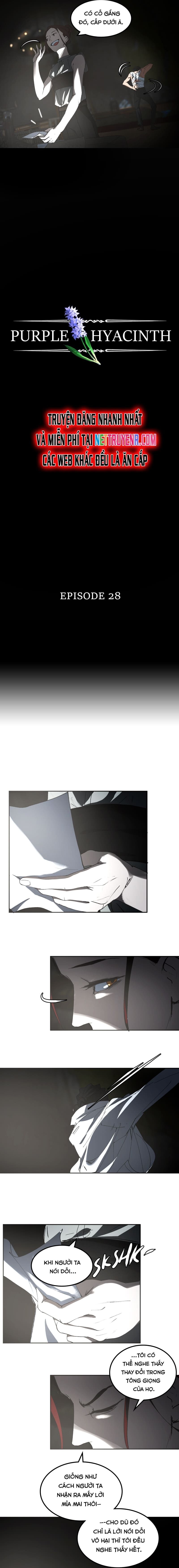 Hoa Lục Bình Tím Chapter 28 - Trang 2