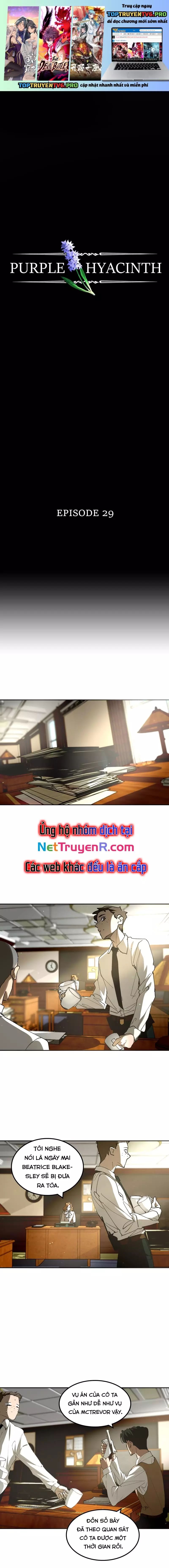 Hoa Lục Bình Tím Chapter 29 - Trang 2
