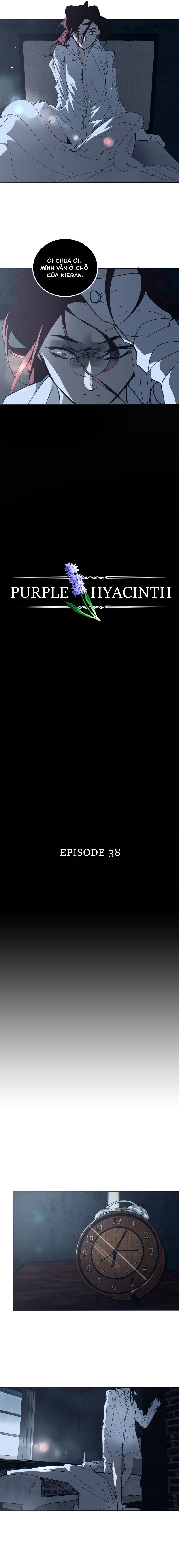 Hoa Lục Bình Tím Chapter 38 - Trang 2