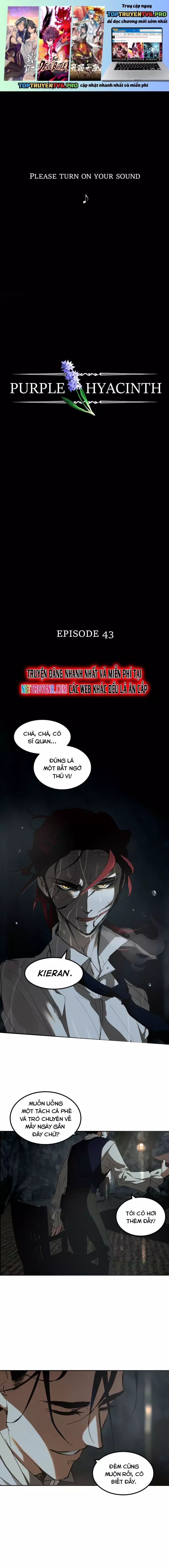 Hoa Lục Bình Tím Chapter 43 - Trang 2