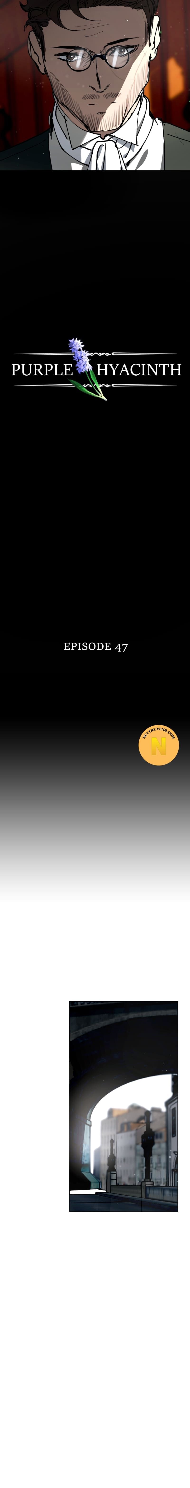 Hoa Lục Bình Tím Chapter 47.1 - Trang 2
