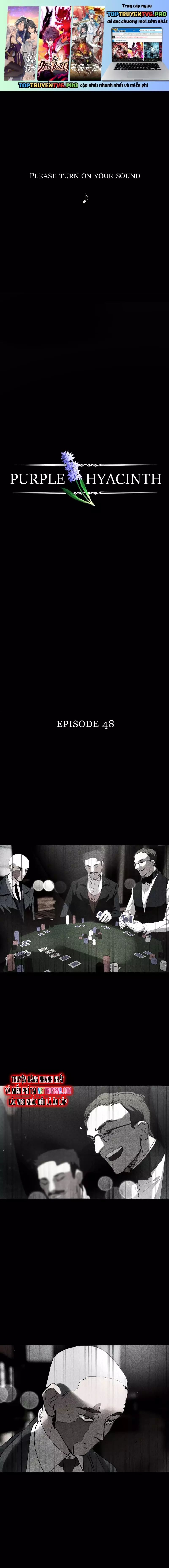 Hoa Lục Bình Tím Chapter 48 - Trang 2