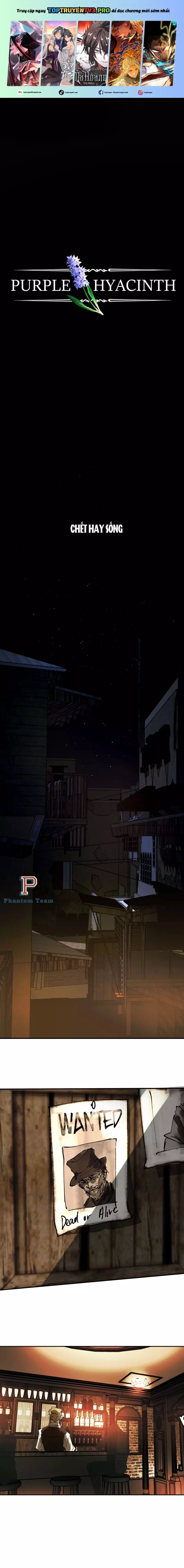 Hoa Lục Bình Tím Chapter 5 - Trang 2