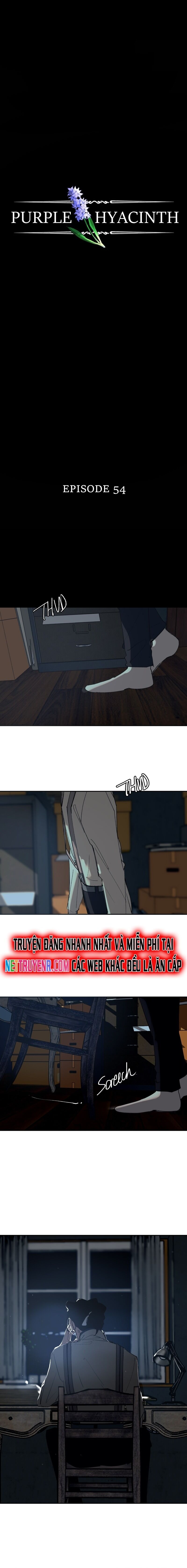 Hoa Lục Bình Tím Chapter 54 - Trang 2