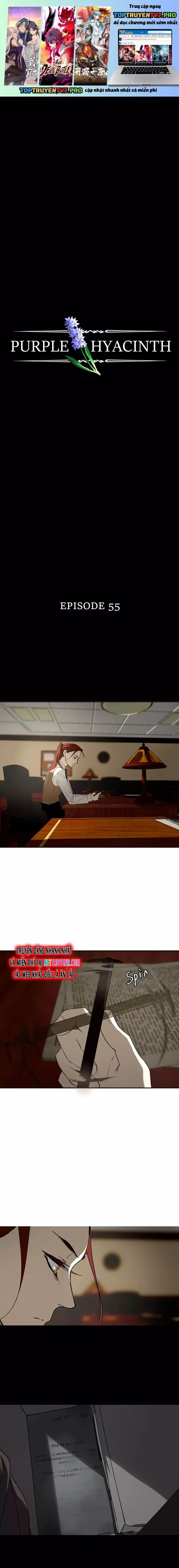 Hoa Lục Bình Tím Chapter 55 - Trang 2