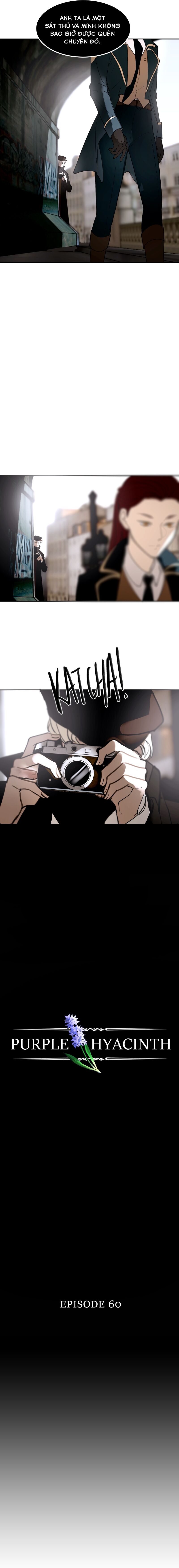 Hoa Lục Bình Tím Chapter 60 - Trang 2