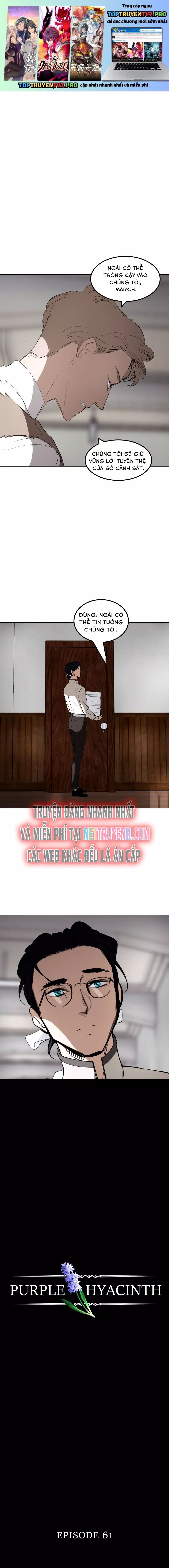 Hoa Lục Bình Tím Chapter 61 - Trang 2