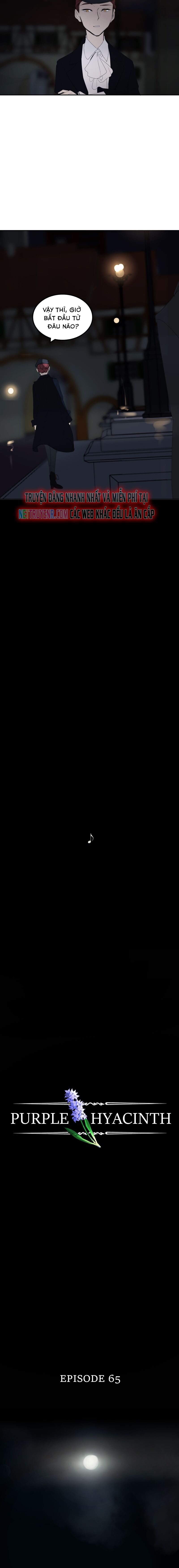 Hoa Lục Bình Tím Chapter 65 - Trang 2
