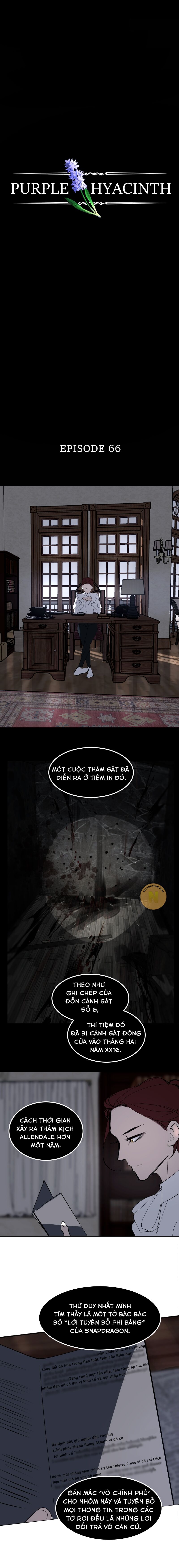 Hoa Lục Bình Tím Chapter 66 - Trang 2