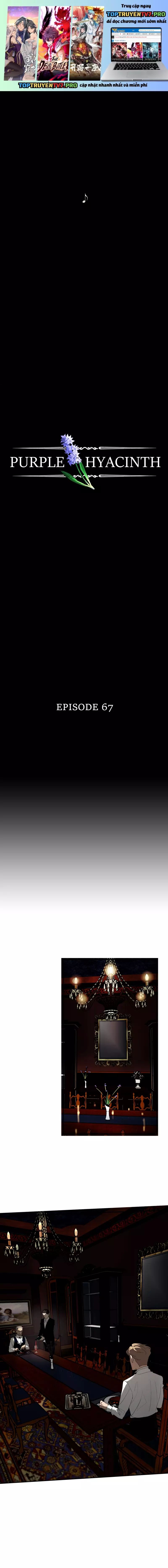 Hoa Lục Bình Tím Chapter 67 - Trang 2