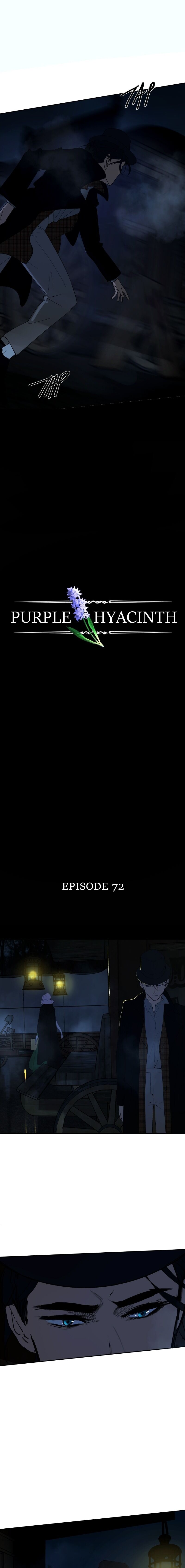 Hoa Lục Bình Tím Chapter 72 - Trang 2