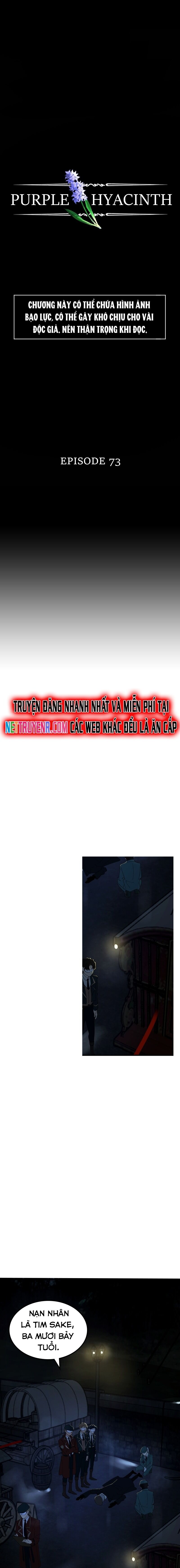 Hoa Lục Bình Tím Chapter 73 - Trang 2