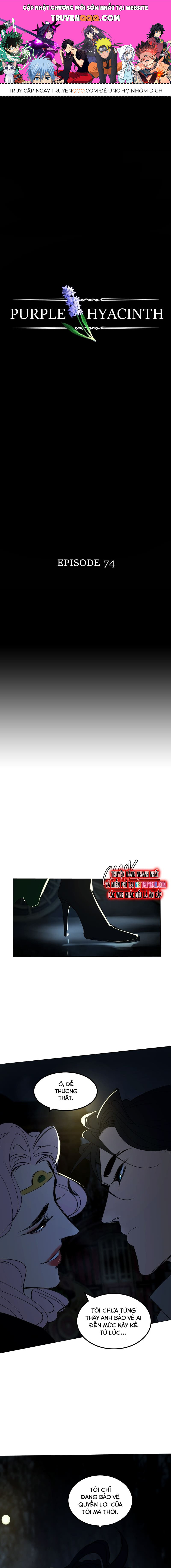 Hoa Lục Bình Tím Chapter 74 - Trang 2