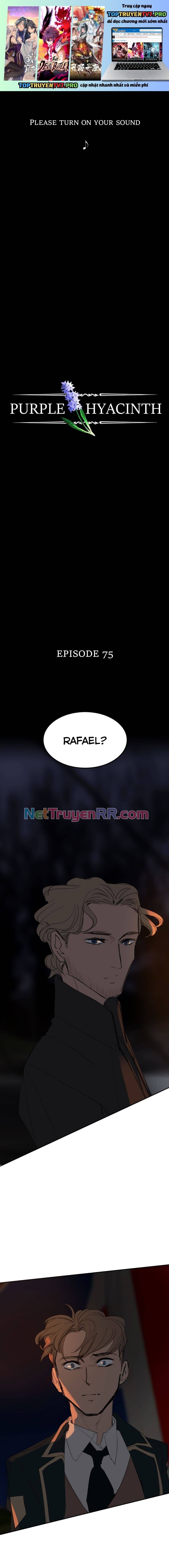 Hoa Lục Bình Tím Chapter 75 - Trang 2
