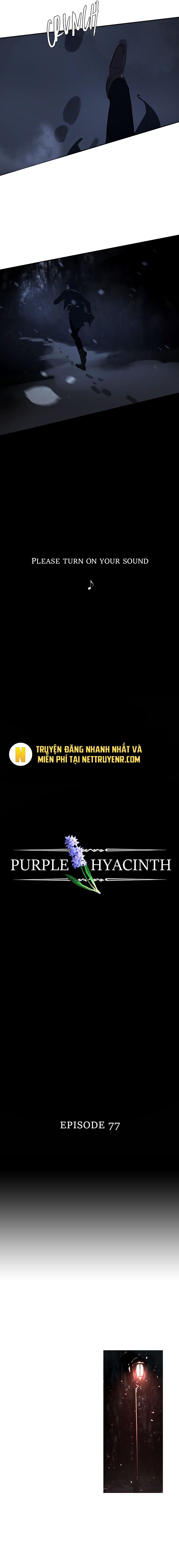 Hoa Lục Bình Tím Chapter 77.1 - Trang 2