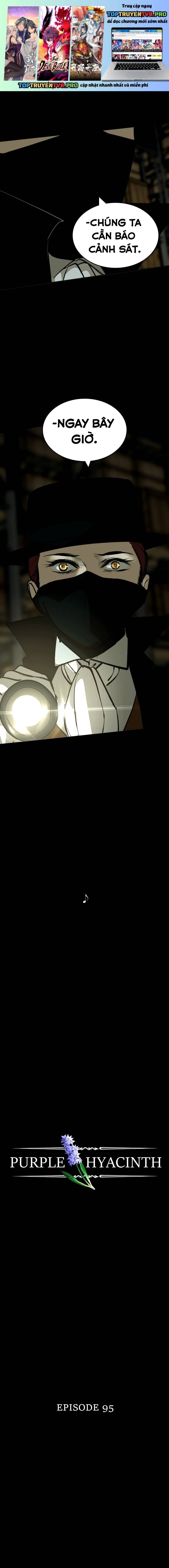 Hoa Lục Bình Tím Chapter 95 - Trang 2