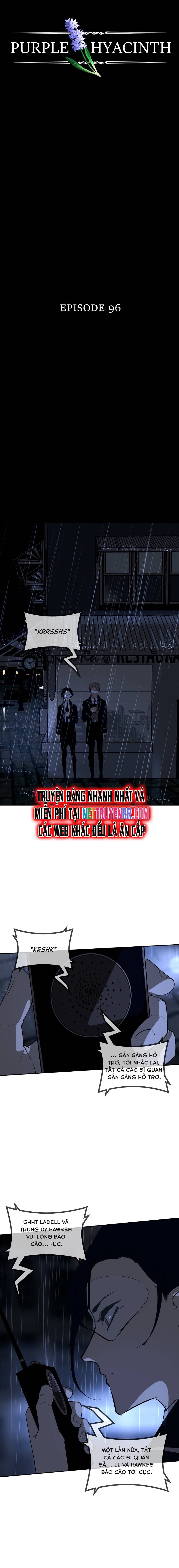 Hoa Lục Bình Tím Chapter 96 - Trang 2