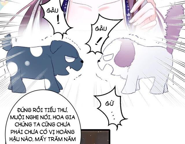 Hoa Nhan Sách Chapter 129 - Trang 2