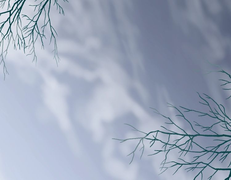 Hoa Nhan Sách Chapter 46.1 - Trang 2