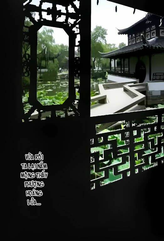 Hỏa Phụng Liêu Nguyên Chapter 1 - Trang 2