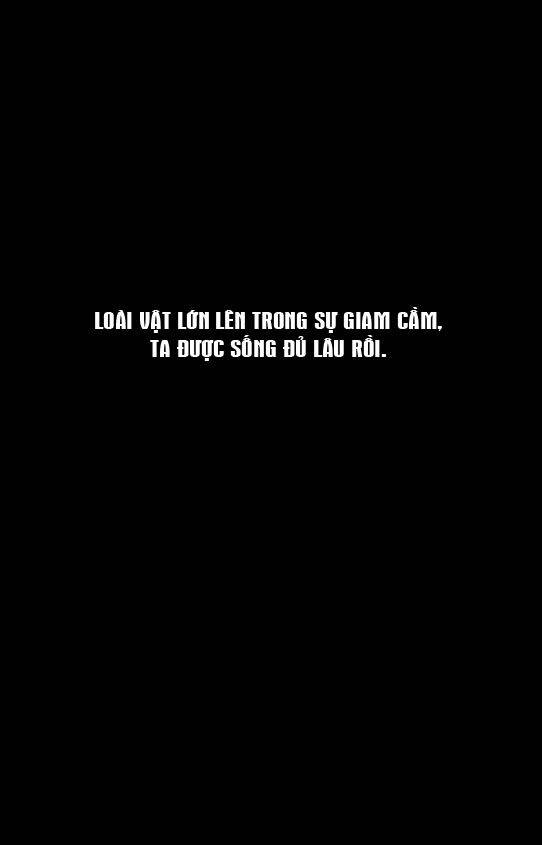 Hỏa Phụng Liêu Nguyên Chapter 256 - Trang 2